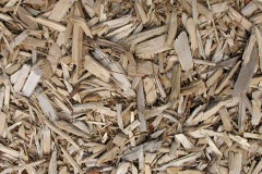 biomass boilers Kitlye