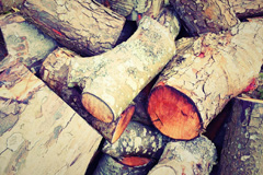 Kitlye wood burning boiler costs